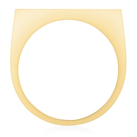 https://goldiam.co.il/sites/default/files/T4963F_yellowgold%20%28%D7%A7%D7%98%D7%9F%29.jpg